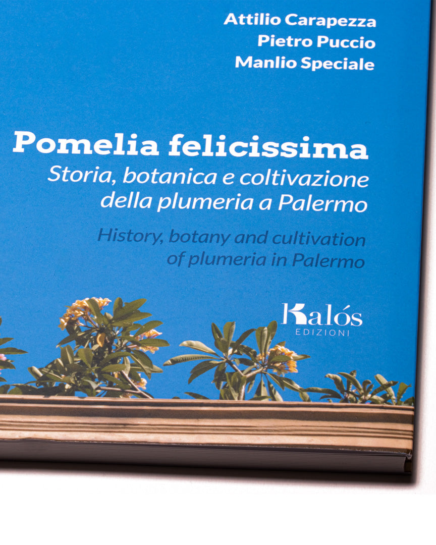 Pomelia felicissima. History, botany and cultivation of plumeria in Palermo