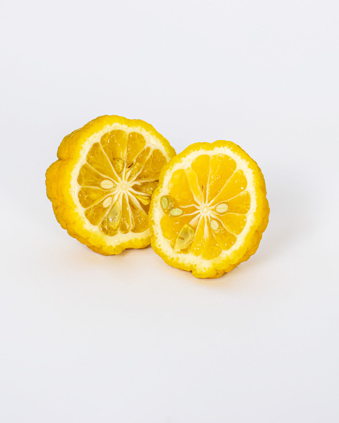 Lemon Tree Citrus Limetta Pursha - height 80/90 cm